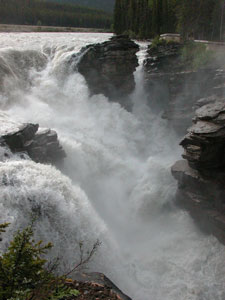 Athabasca Falls, JNP