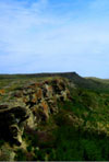 Head-Smashed-In-Buffalo Jump