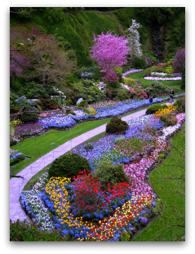 Butchart Gardens