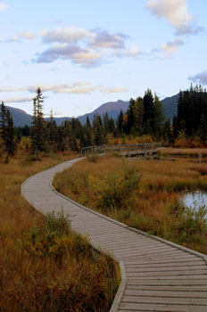 Canmore Boardwalk