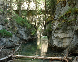 Johnston Canyon