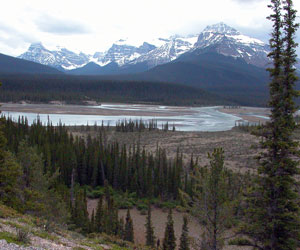 North Saskatchewan River Crossing Viewpoint
