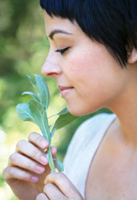 Smell Nature