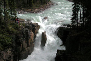 Sunwapta Falls, JNP