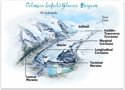 Diagram of a Glacier