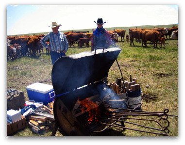 Branding Cattle