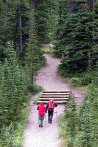 Hiking Parker Ridge