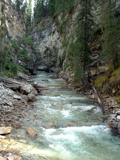 Johnston Canyon