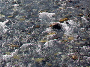 Melt Waters of the Kananaskis